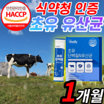 식약청 인증 미국 산 프리미엄 초유 유산균 단백질 모유 유래 프락토올리고당 식물성 크림 유청 분말 가루 스틱