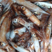 국내산 동해안 미니 오징어 1kg 12~15미 통찜 통찜용 한입 냉동 통오징어, 2kg, 1개