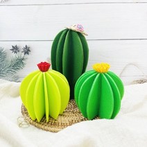 펠트 천연가습기 만들기 선인장삼총사 3개세트, 단품