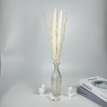 랄라룸 드라이플라워 핑크뮬리 5Color 낱개950원 5P4500원 10P8000원, 10p, 연노랑