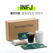 MBTI 다육이 키우기 키트 INFJ, 다육이 선택:월동자