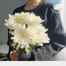 정아네식탁 추모 한다발 성묘 산소 납골당 생화 꽃 택배 예약, 추모 대국 10송이 / 포장추가
