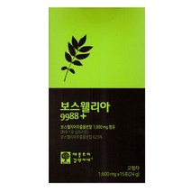 애플트리김약사네 보스웰리아 9988+ (1600mg x 15포) x 2