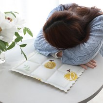 쿨 방석.쿨방석.쿨매트. 여름 쿨젤 매트. 접이식 쿨매트 쿨베개.베개, 두리언