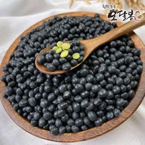 특품 2022년 국산 약콩 청약콩 쥐눈이콩 청서목태, 1개, 2kg