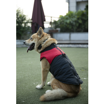 켈리몰 강아지패딩/대형견옷/겨울옷/패딩조끼/중형견옷/진돗개옷/중형견패딩/진돗개패딩/큰개옷/개패딩, 그린_2XL