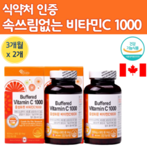 캐나다 직수입 프리미엄 속편한 중성 비타민C 1000 6개월 분 대용량 중성화 된 고 중성적 인 속쓰림 없는 용량 함량 속안쓰린 중성하 속쓰리지않는 비타민 시 티민 C 비타민 씨