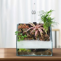 팔루다리움 아쿠아포닉스 테라리움 비바리움 구피 수초 일체형 수조 어항 LED 조명 세트, 01.수조