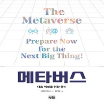 NSB9788959728763 새책-스테이책터 [메타버스] -다음 빅씽을 위한 준비--청람-테리 윈터스 지음 김계수 옮김-공학 일반-20220425 출, 메타버스