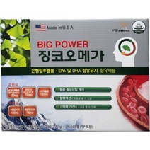 혈행개선 기억력개선 빅파워 징코오메가 120캡슐