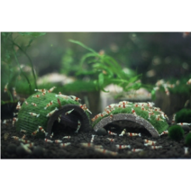 새우동굴/오작교/구름다리 [체리새우/crs새우/생이새우키우기] 애완관상용새우놀이터, 미네랄 새우동굴 (스페샬에디션)