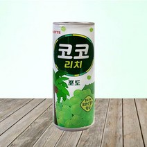롯데 리치 코코포도 240mlX30캔