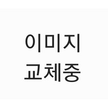 3615 코오롱스포츠 겨울 남성 세피아컬러 트래블 중량 구스다운 점퍼
