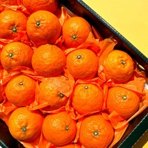 제주 제주도 햇 카라향 못난이 가정용 선물용 4월 5월 과일, 제주 카라향 가정용 10kg 45-90과