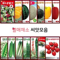 열매 채소 씨앗 모음 토마토 방울토마토 고추 양파 옥수수 오이 호박 씨 채소재배, 43.동아(소동과) 30립