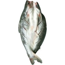 반제품 버들치 도매용 풀박스 통마리 무접점 등을 돌리는 물고기 대발 전선형, 1개, T13-1g 능성어 메콩고기-10 조목조목