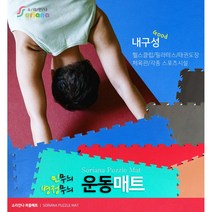 소리안나매트) 20T 운동매트/스포츠/태권도/헬스장 매트, 민무늬 그린