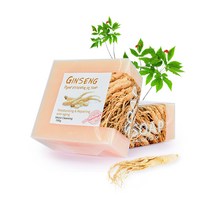 염소 우유 실크 비누 심황 생강 커피 바다 소금 수제 사해 진흙 천연, 12 Ginseng