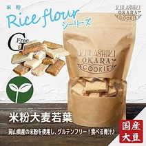 쌀가루 보리 새잎 1봉지 160g 창고 비지 쿠키 단백질 식이섬유 풍부한 콩 생비지 밀가루 우유 미사용 글루텐프리