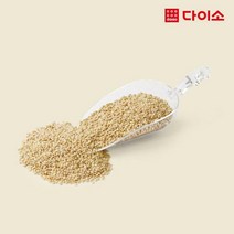 [다이소]아크릴곡물스쿱(약700 ml)-1037329