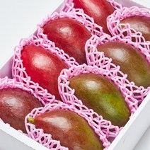 항공직송 신선배송 당도보장 브라질 애플망고 특대과 2kg 4kg(추석전 9월22일주문마감), 4kg(특대 7~9과), 1개