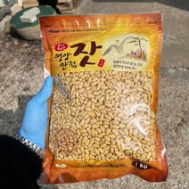 2022년 가평잣 국산잣 햇잣 생잣 1kg, 백잣