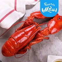 냉동 자숙 랍스터 400g 전후 10마리, 랍스터 400g전후 10마리