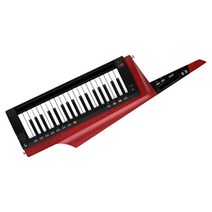 KORG (코르그) 키터 신디사이저 스테이지 키보드 배터리 구동 RK-100S 2BK, 반투명 빨간색