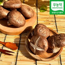 버섯농꾼 국산 장흥 산지직송 무농약 참나무 생 표고버섯 특품, 1개, 특품 1kg