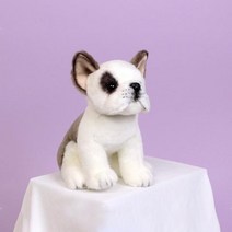 위더 펫 리얼 강아지 인형 프렌치불독 mKv 반려 견 동물 petdoll 데일리, 본상품선택