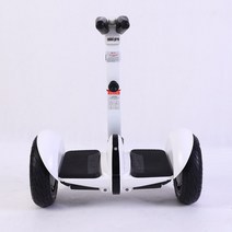 접이식 렌탈 휠 지능형 다리 충전 자동차 스케이트 보드 2 륜 바디 느낌 균형 스쿠터, 02 black 54V3.0A
