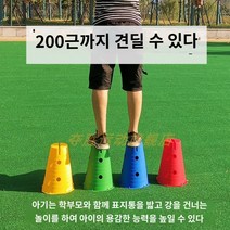 라오농 강아지 슬개골탈구 재활용 펫피트니스 어질리티 허들00 감각 훈련 장비 홀 사인 버킷 아이스크림 유치원 어린이 장애물이있는 홈 조합 축구 트레이너, 감각 시스템 사인 버킷 4개(혼합 색상)