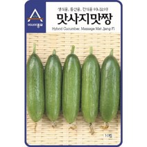 간식용 오이씨앗 맛사지맛짱 10립 미니오이 종자, 쿠팡뚱땅 본상품선택