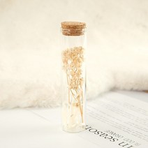 부케돔 안개꽃 미니 말린 보존 꽃 유리 표류 웨딩 파티 장식 위시 병, 1.1PCS Gypsophila