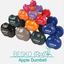 애플아령 미용 홈트 홈트레이닝 여성 덤벨 1kg 2kg 3kg 4kg 5kg 6kg 7kg, 4kg 1개