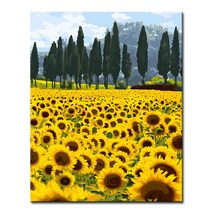 DIY 캔버스페인팅 명화그리기 액자 그림 세트 유화 - 풍경 40x50, L103_평화로운 해바라기들판
