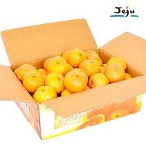 [올탑농원] 제주직송 햇수확 쥬스용 하우스감귤 4.5kg(대과), 단품