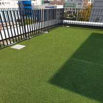 [그린프로텍] 국산 인조잔디롤매트 (20GA) 1m x 10m 잔디높이 2cm 방염 무독성, 가로1m x 세로10m x 높이 2cm