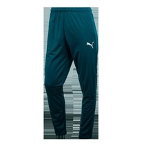 브랜드없음 푸마 AC 밀란 트레이닝 팬츠 75819803