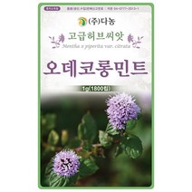타임 1000립 - 백리향 허브 허브씨 허브씨앗 씨 씨앗 타임씨앗 타임씨 꽃씨 꽃씨앗 다년생 여러해살이 Thyme, 14_다농_오데코롱민트(1g)