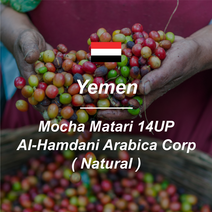 [커피생두] 예멘 모카 마타리 14up 알 함다니 내츄럴 1kg