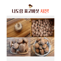 표고버섯생표고버섯1kg 가격비교 상위 200개 상품 추천