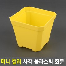 프라스틱화분 플분 플라스틱분 미니 컬러 사각 플라스틱 화분, 대 - 옐로우