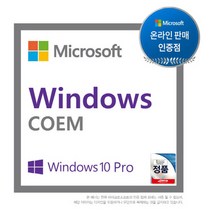 마이크로소프트 Windows 11 Pro 64bit DSP 영문 윈도우11 프로 기업용