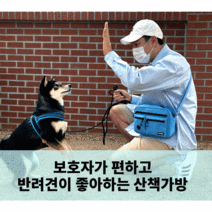 풉백 간식 보관이 편한 반려견 애견 강아지 산책 소지품 산책가방 텐마일 데일리 워크백, white