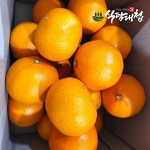 식탐대첩 제주 천혜향 실속형 10kg (30-60과), 없음