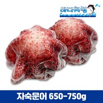 자숙문어 650/750g 필리핀 제수용 문어숙회 삶은문어