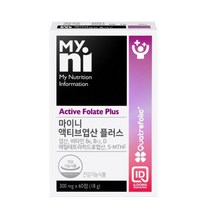 엽산 초기 임산부 영양제