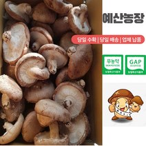 [산지직송 ] [당일수확] [GAP인증] [무농약인증] 생표고버섯 (못난이) 가정용 육수용 가루용 김장용 대량용 다시용, 3kg, 1개