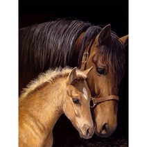 보석십자수 창업 도구 동물 말 사전 인쇄 11CT 크로스 스티치 자수 키트 DMC 스레드 수공예 뜨개질 취미, HMA79588_40x50_11CT 실크 스레드